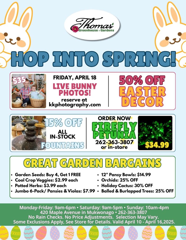 TGH April 10 Sale revised hours and day Promotional flyer for Thomas’ Greenhouse & Gardens titled “Hop Into Spring!” featuring cartoon bunny illustrations and Easter egg decorations. Highlights include: Live Bunny Photos on Friday, April 18 for $35. Reservations at kkphotography.com. 50% off Easter décor 15% off all in-stock fountains Firefly Petunia available for $34.99. Order by calling 262-363-3807 or in-store. Great Garden Bargains: Garden Seeds: Buy 4, Get 1 Free Cool Crop Veggies: $2.99 each Potted Herbs: $3.99 each Jumbo 6-Pack Pansies & Violas: $7.99 12” Pansy Bowls: $14.99 Orchids: 25% off Holiday Cactus: 30% off Balled & Burlapped Trees: 25% off Store Hours: Monday–Friday: 9am–6pm Saturday: 9am–5pm Sunday: 10am–4pm Located at 420 Maple Avenue in Mukwonago. Phone: 262-363-3807. Website: thomasgreenhouse.net. Sale valid April 10–216, 2025.